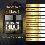 Shilajit Gummy Fulvic Acid | Pure Himalayan Shilajit Extract Gummies | 600 mg Organic Shilajit | 60 Count Dietary Supplement - Image 2